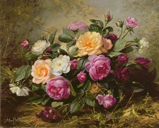 Voll erblühte Rosen